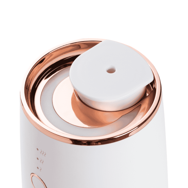Car Scent Diffuser - Bloom